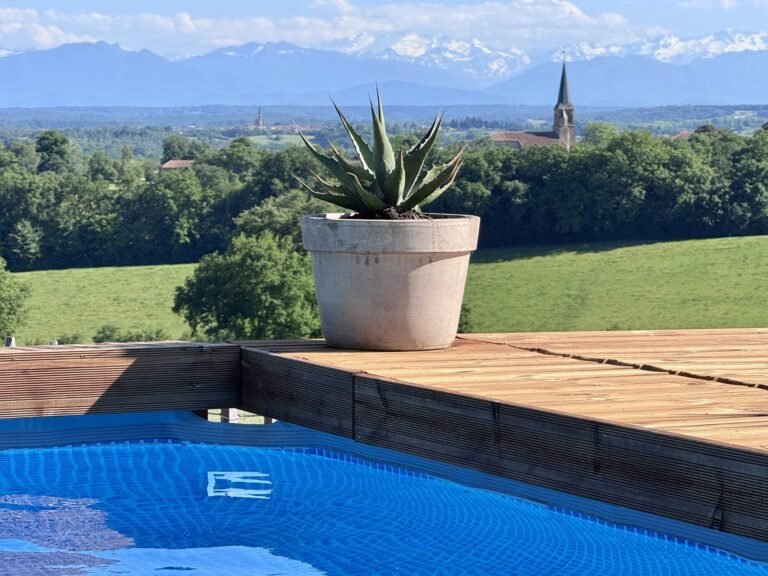 Het zwembad met uitzicht op de Pyreneeën en dorpskerk, Gite La Grange